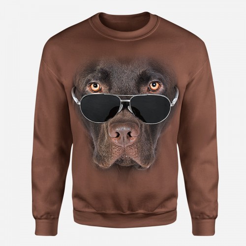 Čokoládový Labrador s brýlemi - Tulzo